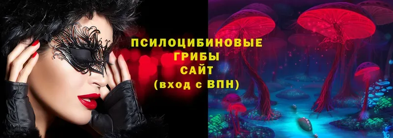 что такое   Егорьевск  Галлюциногенные грибы Magic Shrooms 